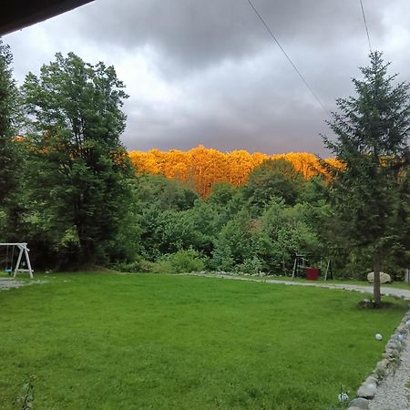 Pensiunea Vinatur Porumbacu de Sus Exterior foto