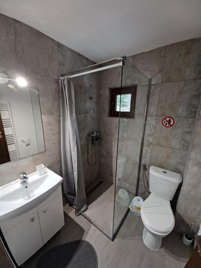 Pensiunea Vinatur Porumbacu de Sus Exterior foto