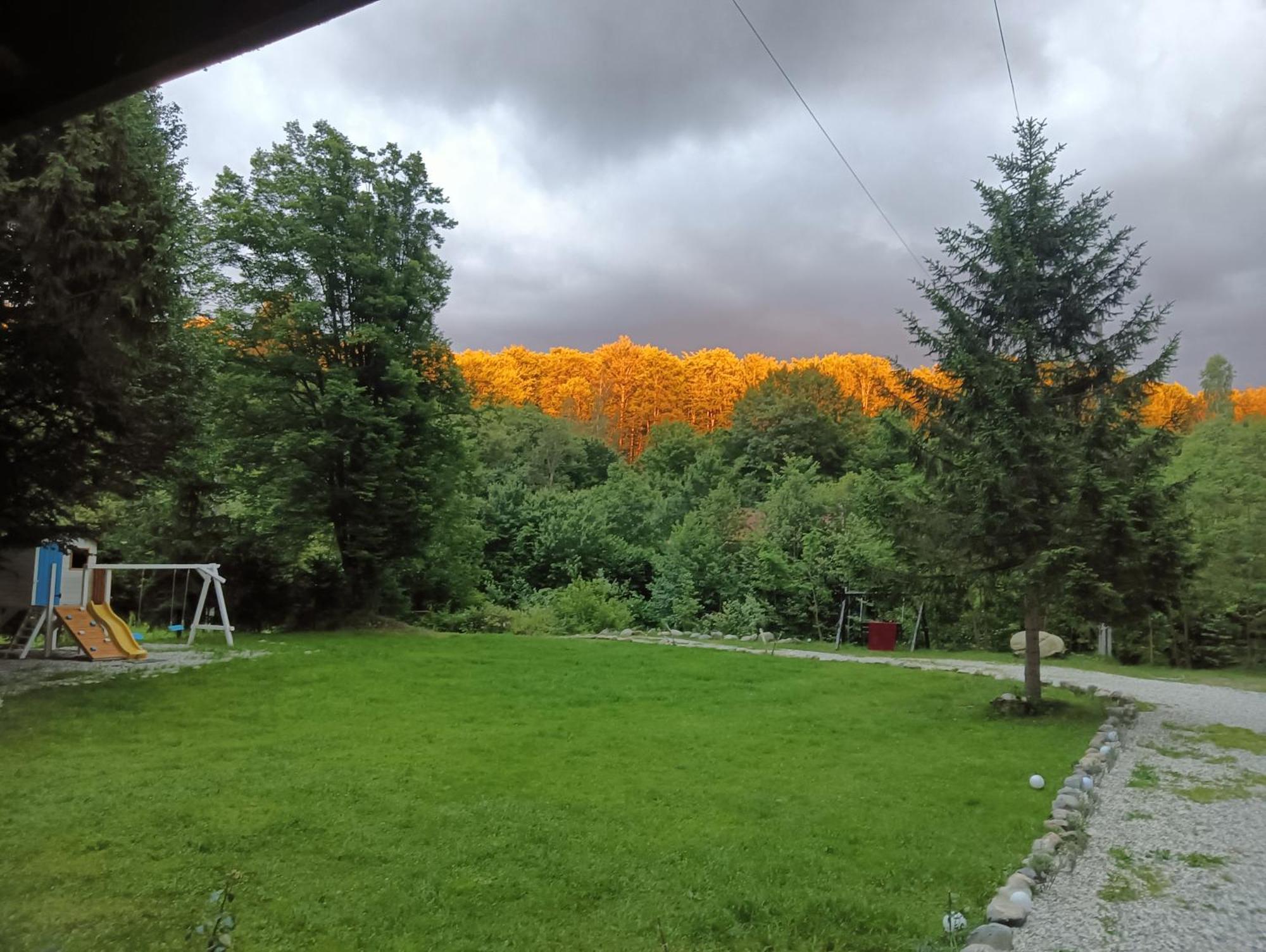 Pensiunea Vinatur Porumbacu de Sus Exterior foto