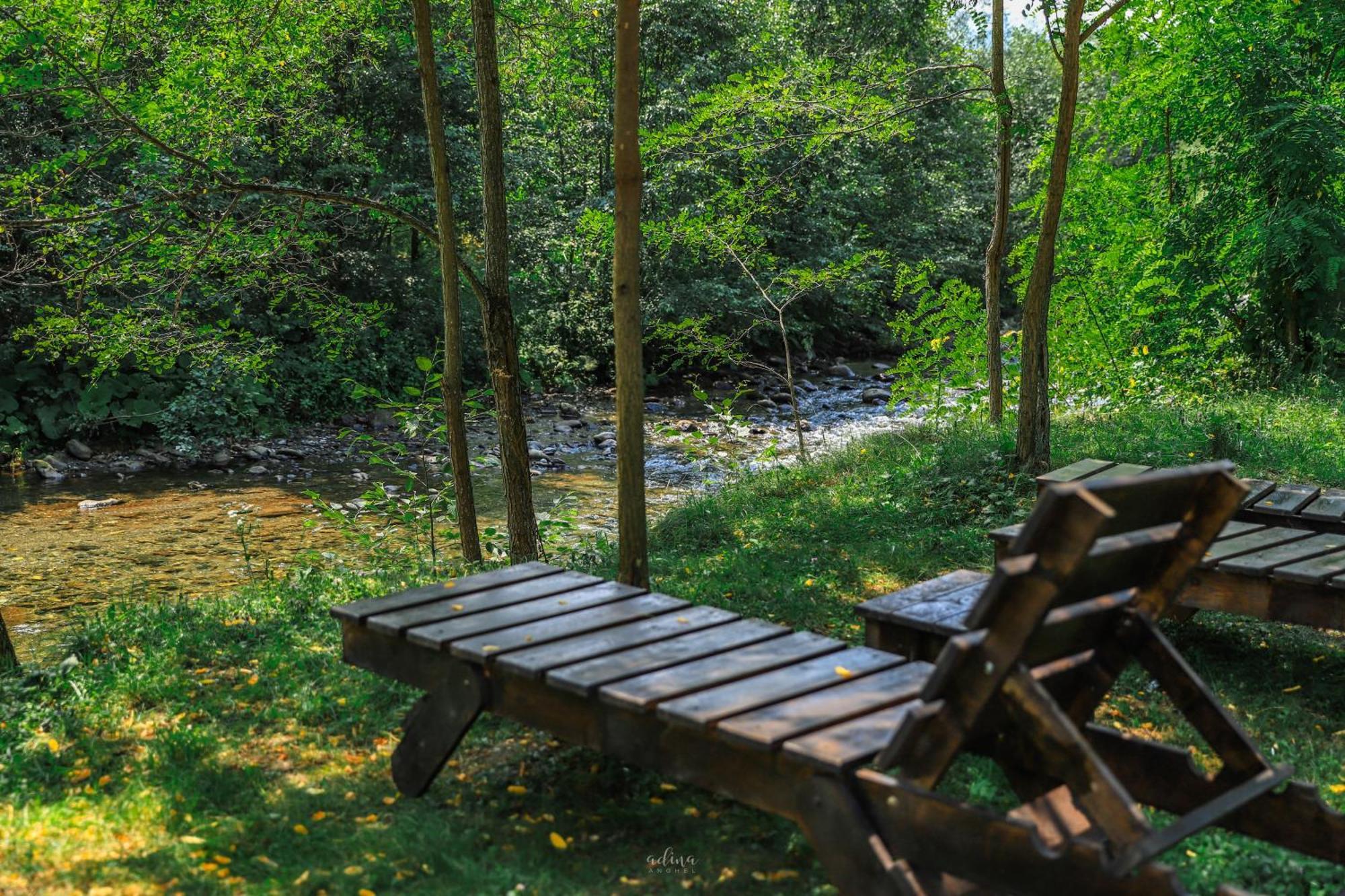 Pensiunea Vinatur Porumbacu de Sus Exterior foto