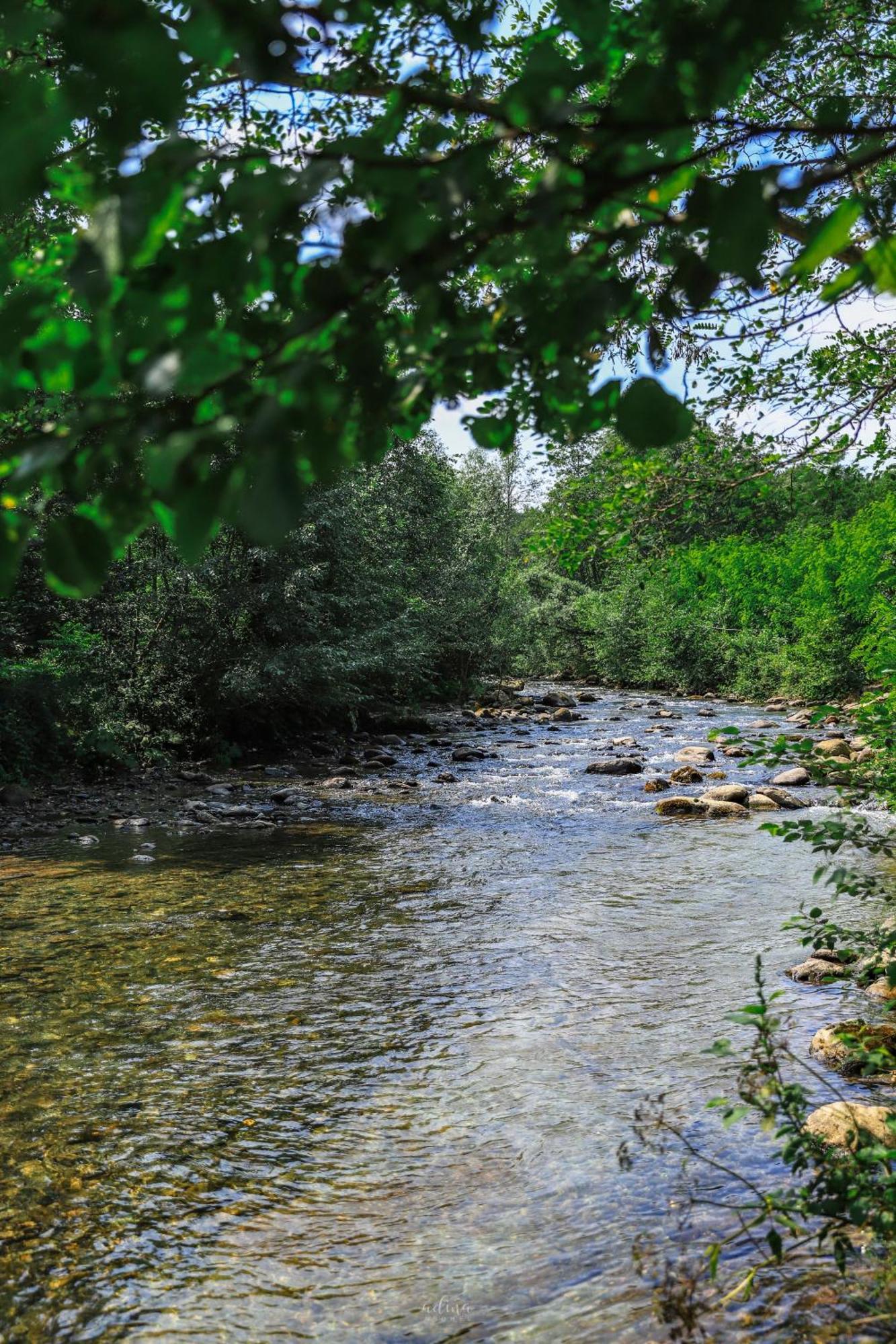 Pensiunea Vinatur Porumbacu de Sus Exterior foto